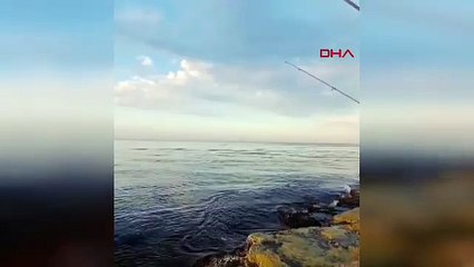 Kocaeli açıklarında gemide yangın! Valilikten açıklama