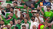 الرهان العربي .. محاربو الصحراء من أجل الثانية تواليا