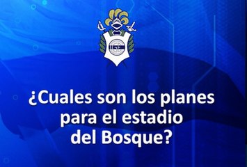 GELP elecciones - Cuales son los planes para el estadio del Bosque