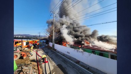 경기 양주 돼지 축사에서 불...4개 동 전소 / YTN