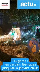 Fougères jardins féeriques 2025