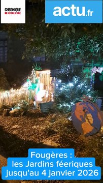 Fougères jardins féeriques 2025