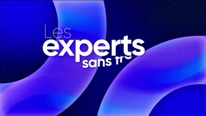Les experts sans frontières - Vendredi 28 novembre