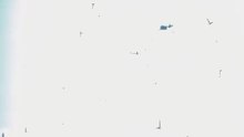 1000030009