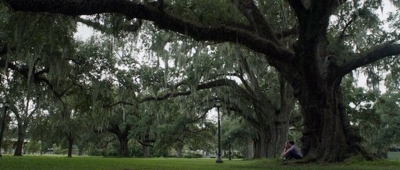 Sylvia returns to her Texas hometown for a friend's wedding. There she meets Esteban, an electrifying stranger HD ( Adventure, Drama, Romance )