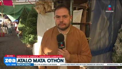 En el Mercado de Jamaica podrás encontrar una variedad de arbolitos de Navidad