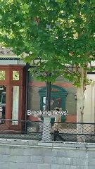 Absolute Power - The Day He Returned #Dramabox