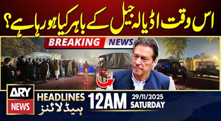 Big News From Adiala jail - Imran Khan - PTI | ARY News 12 AM Headlines | 29th Nov 2025