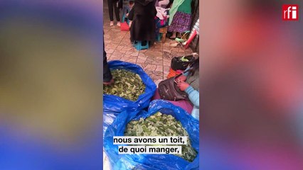 Bolivie, au cœur du marché sacré de la coca