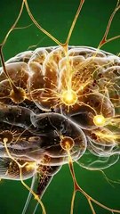 The 3D Journey of Chocolate Inside the Human Body #health #healthy #healthyfood #healthtips