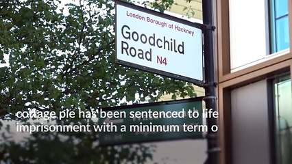 Robber who fatally kicked and punched pensioner jailed for 23 years