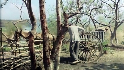 1984 Virgini People FULL HOT MOVIE Janet Bordon Myrna Castillo, Pepsi Paloma