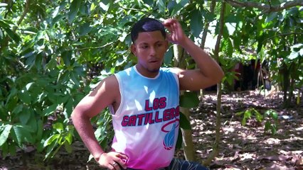 Se robaba los trastes donde comia sin saber que esto pasaria