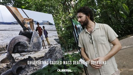 Overheating caused mass deaths of dolphins