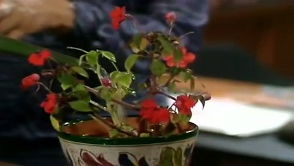 Mind Your Language Season 2 Episode 3. Brief Re Encounter.