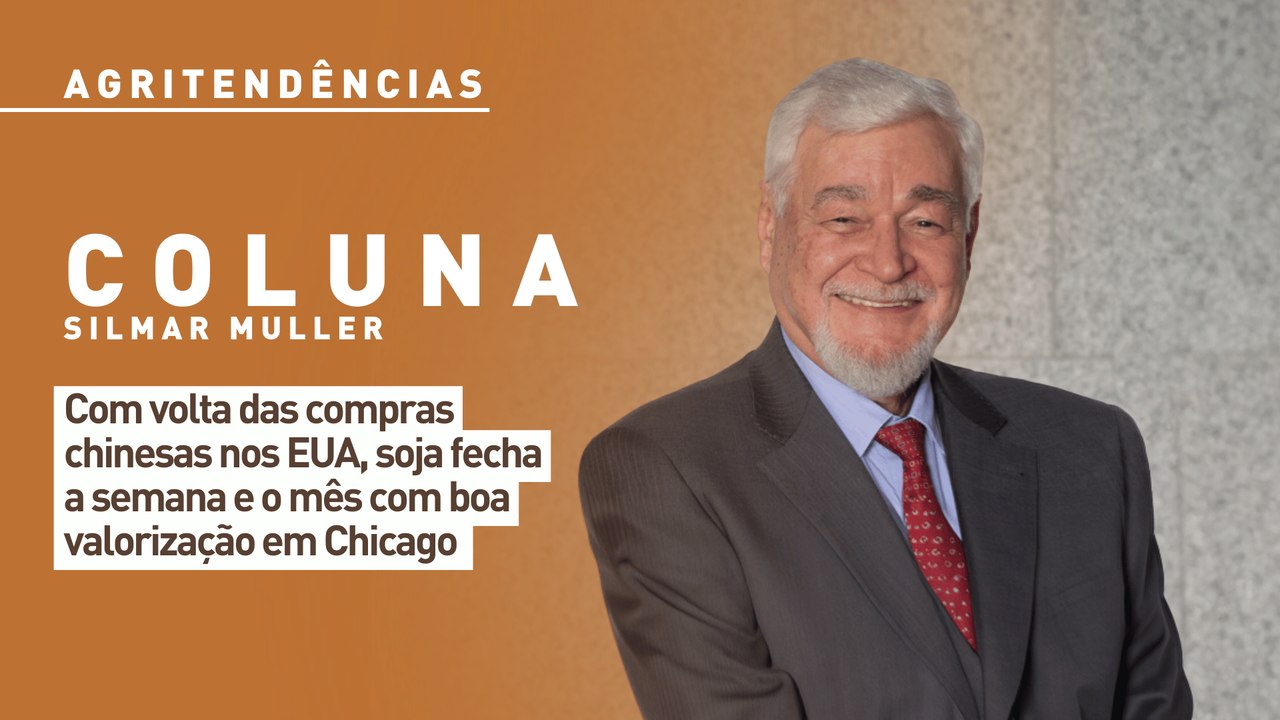 Com volta das compras chinesas nos EUA, soja fecha a semana e o mês com boa valorização em Chicago