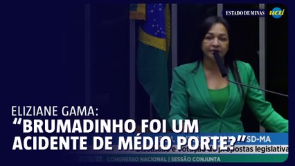 Deputada questiona sobre vetos ambientais: "Brumadinho foi acidente de médio porte?"