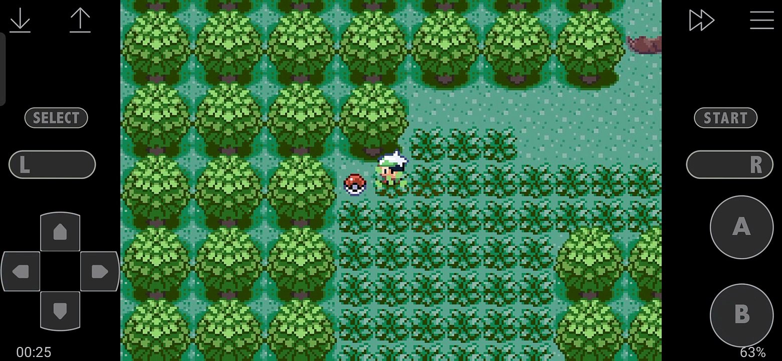 Pokemon emerald 2