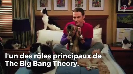 Macaulay Culkin aurait pu être la star de The Big Bang Theory