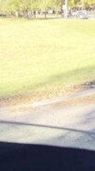 Truck Gets Tangled in Wires and Hangs Precariously on Two Tires