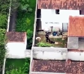 Traficante tenta fugir de policial e ‘dá de cara’ com pitbull; veja