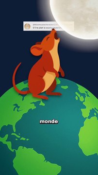 La souris qui hurle à la lune ! #souris #carnivore #animaux #nature #humour