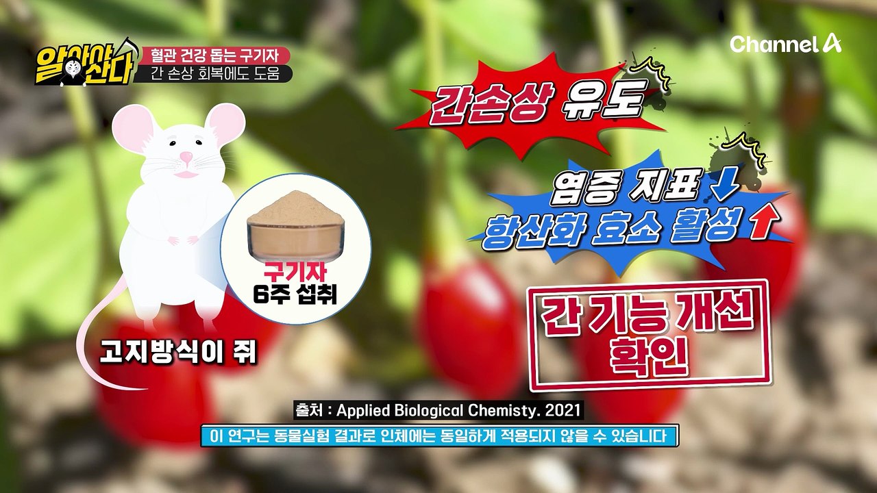 혈관 건강 돕는 구기자! 폐암 위험 낮추는 데 도움 준다?