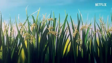 The Summer Hikaru Died Saison 1 -  (PT)