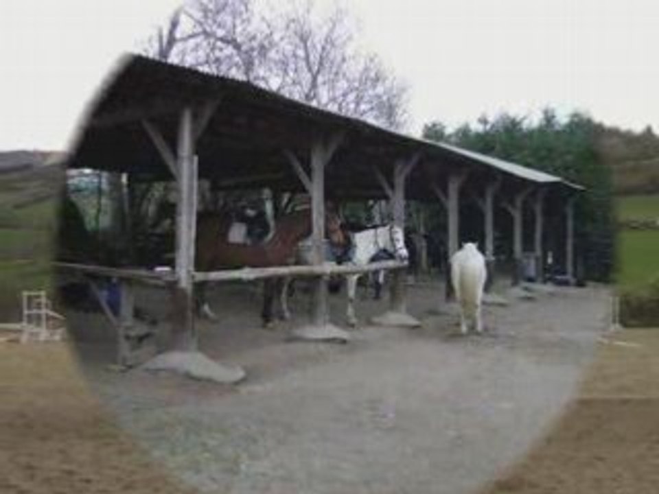 Farnay centre equestre
