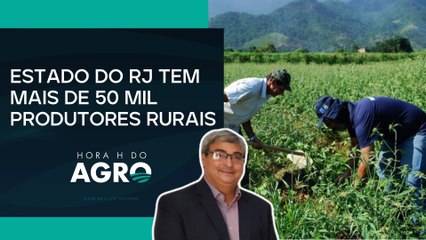 Desenvolvimento rural local pode impulsionar mercados globais