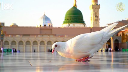 Generated File November 28, 2025 - 7_00AM