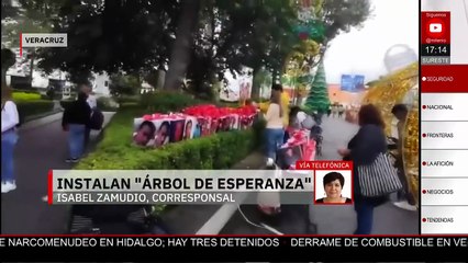 En Veracruz, colocan el "Árbol de la Esperanza"; tiene 40 fotos de personas desaparecidas