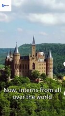 [New] One Million Reasons To Love A Prince #snapshort #minishort #kalostv - Full Movie