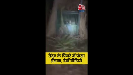 तेंदुए के पिंजरे में फंसा शख्स, Video