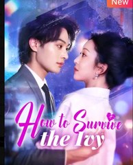 How to Survive the Ivy Chinese Drama - english sub