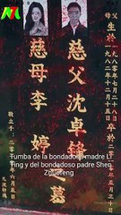 Cicatrices Frescas, Viejas Heridas En Español