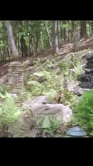 🍏💚✅🏳️ 11.01 - 12.30 🔥 Resisting Mr Lloyd An Age Gap Romance dailymotion 🌕x9unikg