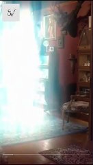 The Two Facets Of My Alpha Mate Full Episode