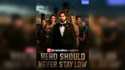 Hero Should Never Stay Low - Full HD Movie