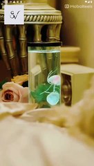 Maid's Vendetta Full Episode