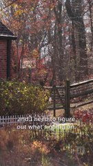 Open Your Eyes  My Billionaire Husband All Episodes - ReelShort - #abel