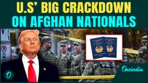 Trump PUNISHES Afghans | U.S DENIES Visas to Afghanistan Passport Holders post Washington Shooting