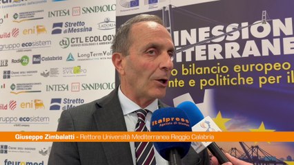 Zimbalatti "Dal Ponte sullo Stretto stimolo a crescita università"