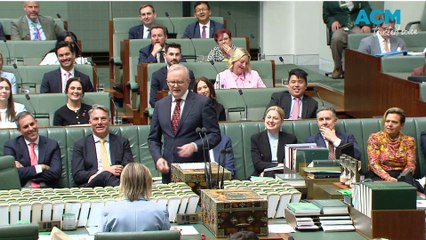 Prime Minister Anthony Albanese honours partner Jodie Haydon