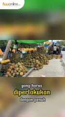 Berburu Durian di Pekanbaru: Ini Tips Pilih Durian Ala Pedagang Senior di Rumbai