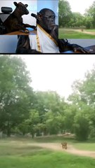 chimp podcast.....follow Me