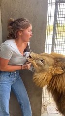 🤣 Animal Prank Gone Wild! 🐶🐵😂 | Funniest Reactions Ever! 🔥 #Shorts #Prank #Viral