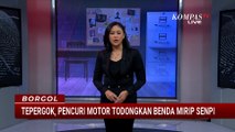 Tepergok! Curanmor di Toko Hewan Todongkan Benda Mirip Senpi | BORGOL