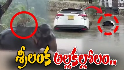 Cyclone Ditwa - Sri Lanka Floods | దిత్వా బీభత్సం: శ్రీలంక అల్లకల్లోలం | Oneindia Telugu