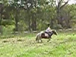 Mon chouchou en saut